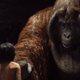 Image for article titled The Jungle Book Uses The Best Parts of the Animated Classic To Make Something Brand New